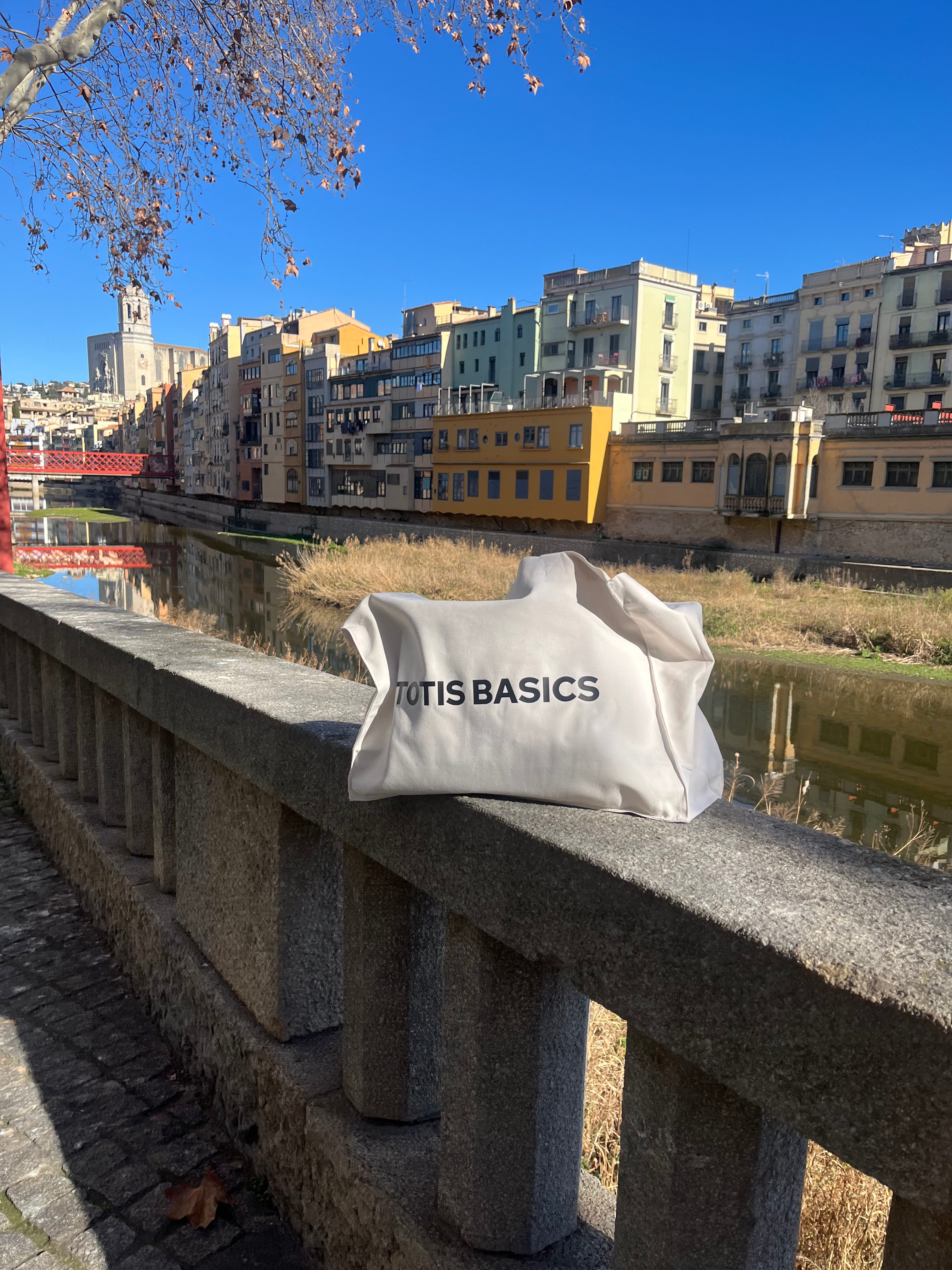 Bolsa Grande Orgánica TOTIS BASICS - 033